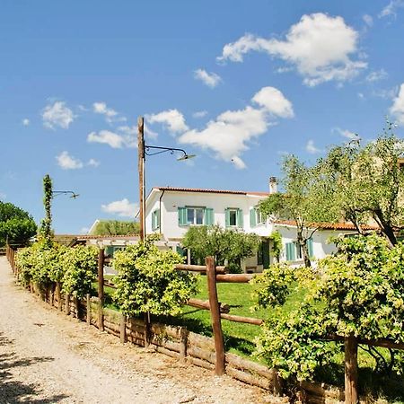 Gli Olivi Bed and Breakfast Formello Buitenkant foto